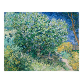 Foto Lilac Bush (Lilacs) de Vincent Van Gogh