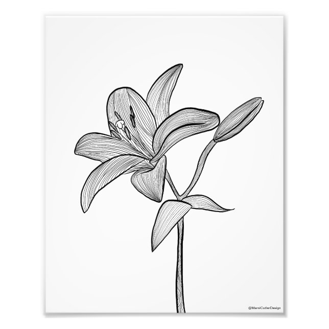 Foto Lily (Frente)