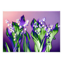 Lily del Valle de Lavender