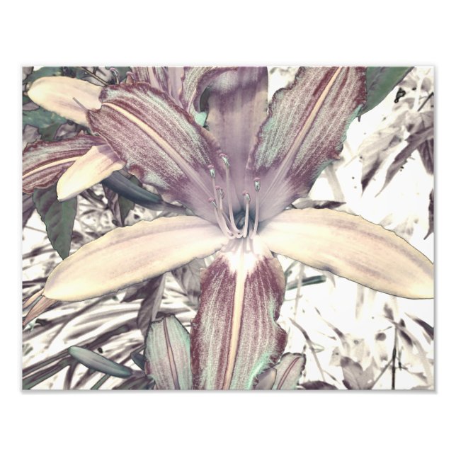 Foto Lily Love (Frente)