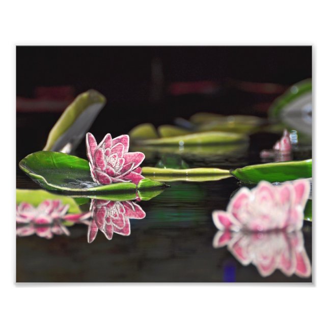 Foto Lily Pads (Frente)