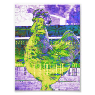 Foto Lime Rooster