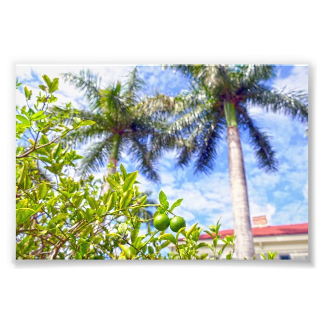 Foto Limequías de Florida (Frente)