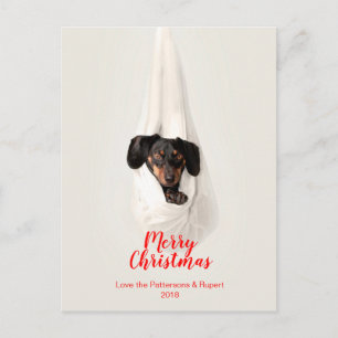 Foto linda del navidad del perro de perrito de la