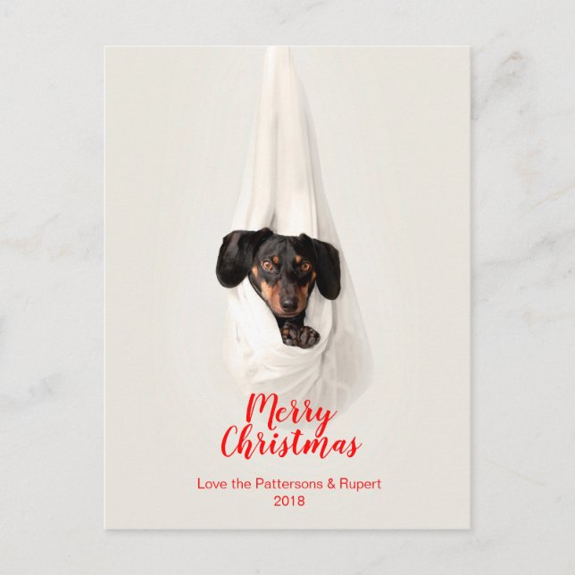 Foto linda del navidad del perro de perrito de la (Anverso)