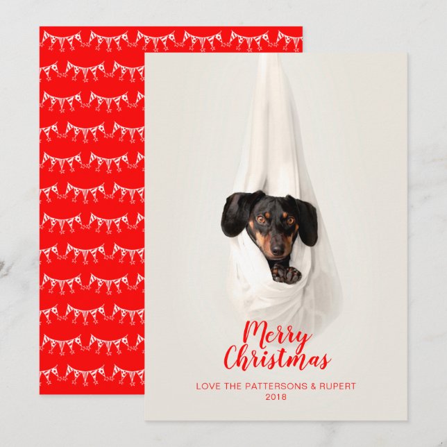 Foto linda del navidad del perro de perrito de la (Anverso / Reverso)