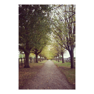 Foto Línea de árboles de bosque
