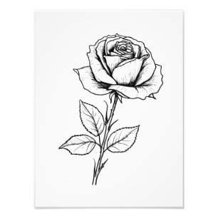 Foto Línea de Arte de Rosa Blanco y Negro
