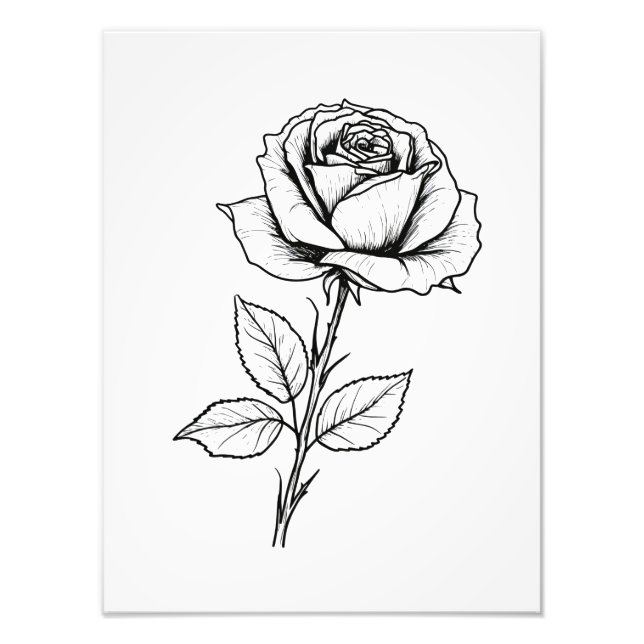 Foto Línea de Arte de Rosa Blanco y Negro (Frente)