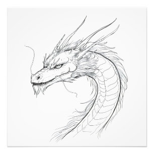 Foto Línea Minimalista Dragón china