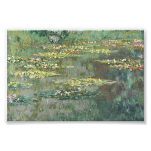 Foto Lirio acuático Claude Monet