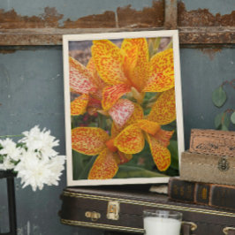 Foto Lirio de Canna Amarillo con Flores con Motas Rojas