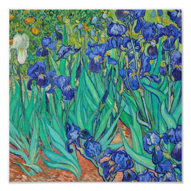 Foto Lirios (1889) por Vincent Van Gogh. (Frente)