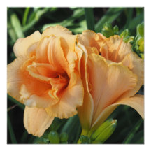 Lirios naranjas de 16"x16"