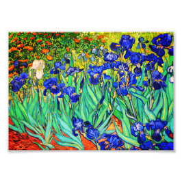 Foto Lirios por Vincent Van Gogh