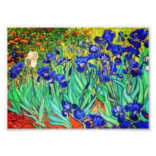 Foto Lirios por Vincent Van Gogh