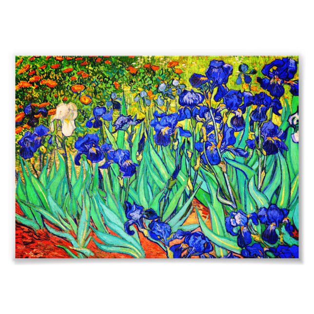 Foto Lirios por Vincent Van Gogh (Frente)