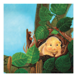 Foto Lirón careto comiendo avellana