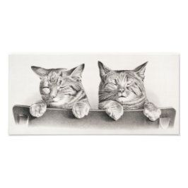 Foto Litografía de Gatos Durmientes Vintage, 1874