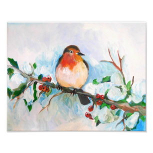 Foto Little Robin