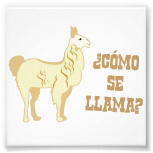 Foto ¿Llama del SE de Como?  ¿Cuál es su nombre?