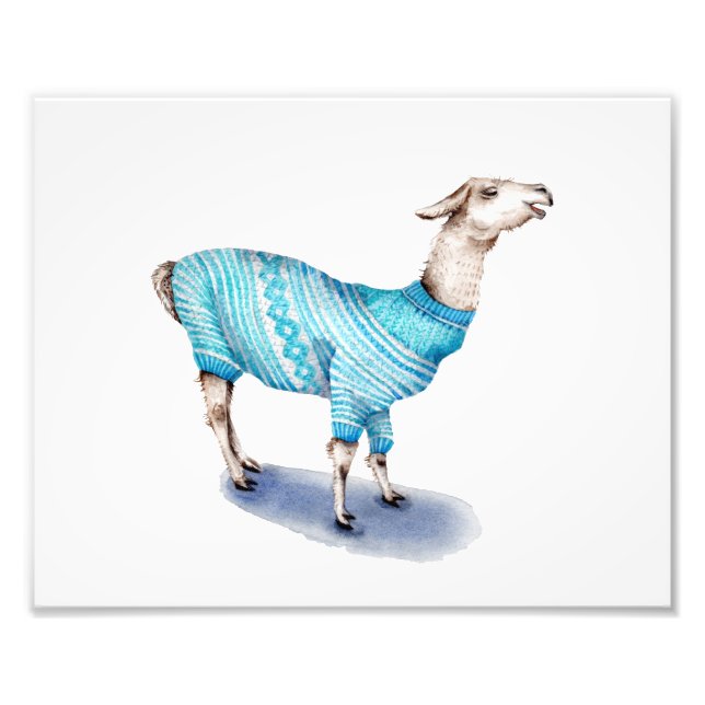 Foto Llama en suéter azul (Frente)