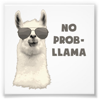 Foto Llama sin problema