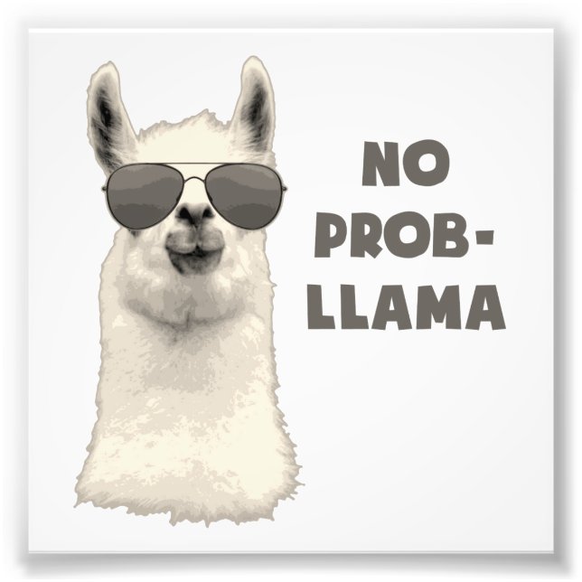 Foto Llama sin problema (Frente)