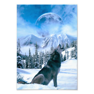 Foto Llamada de lobo