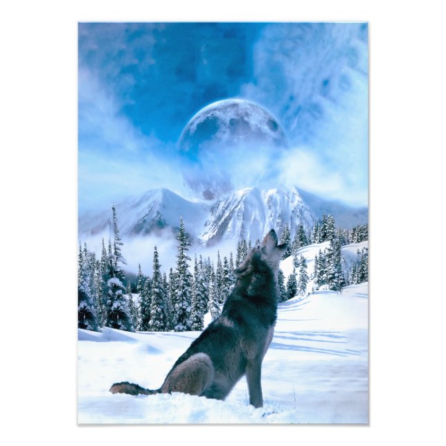 Foto Llamada de lobo (Frente)