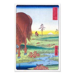 Foto Llanura de Kogane en la provincia de Shimō   Hiro