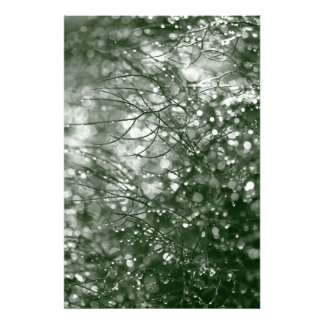 Foto Lluvias