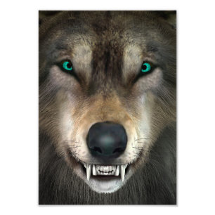 Foto Lobo