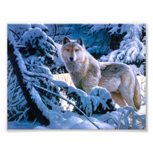 Foto Lobo en la pintura del bosque invernal