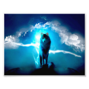 Foto Lobo en la tormenta