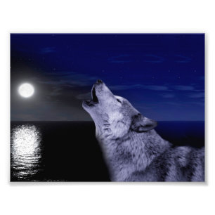Foto Lobo gritando en la luna en el mar
