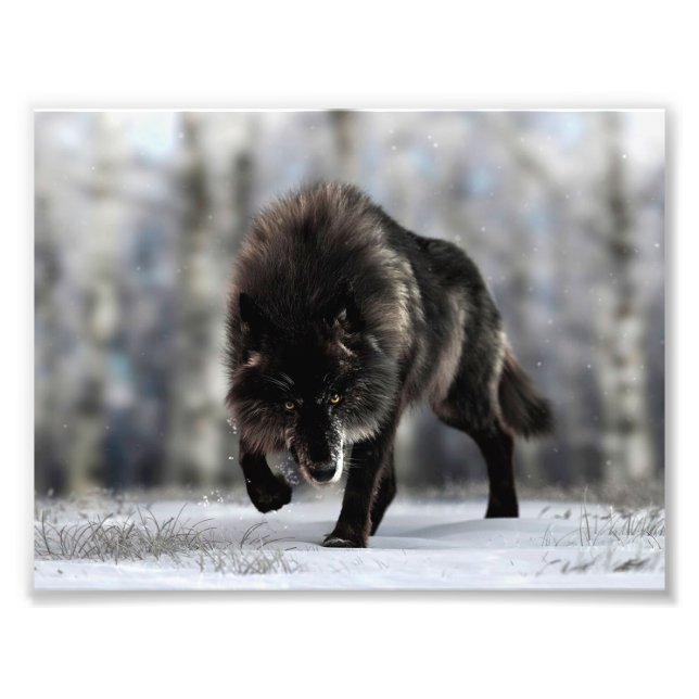 Foto Lobo negro enojado (Frente)