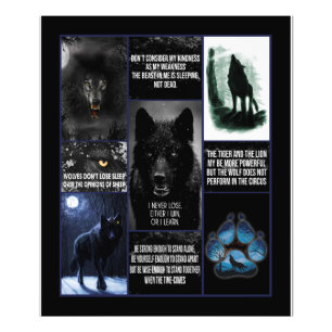 Foto Lobo negro que tampoco pierdo