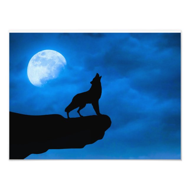 Foto Lobo por la noche (Frente)