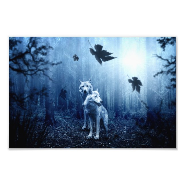 Foto Lobos en el bosque al amanecer (Frente)