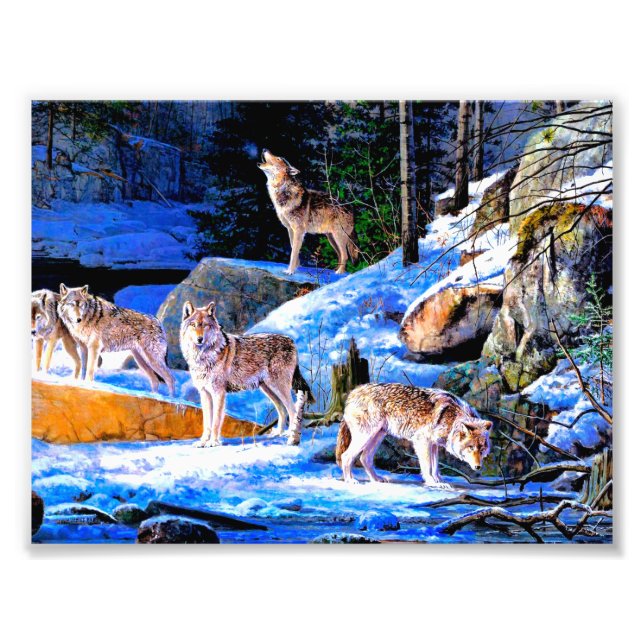 Foto Lobos en pintura de nieve (Frente)