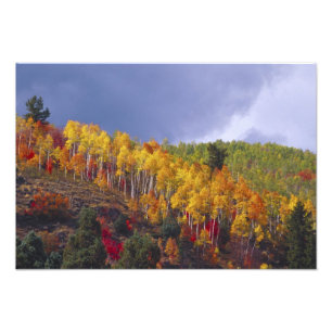 Foto Logan Canyon en Utah en otoño con tormenta pasajer