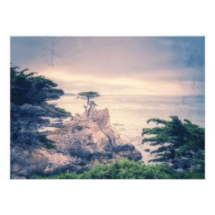 Foto Lone Cypress
