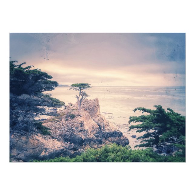 Foto Lone Cypress (Frente)