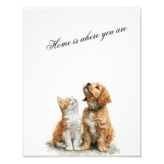 Foto Looking Up at You – Home Is Where You Are
