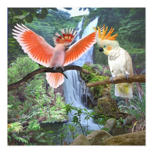 FOTO LOROS CACATÚAS EN EL PARAÍSO (Frente)