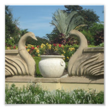 Los cisnes protegen los jardines de Hollis en una