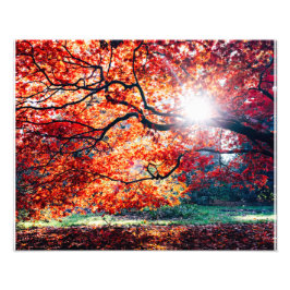 FOTO LOS COLORES MÁGICOS