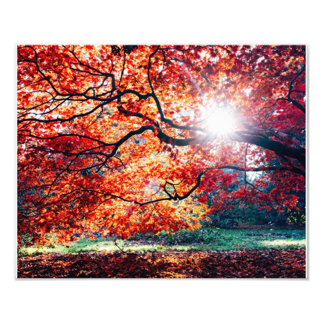 FOTO LOS COLORES MÁGICOS (Frente)