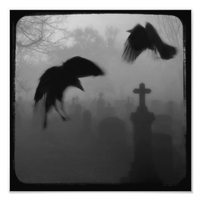 Foto Los Crows Góticos Bailan En La Oscuridad (Frente)